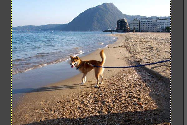 1. 画像を開く 1. 画像を開く