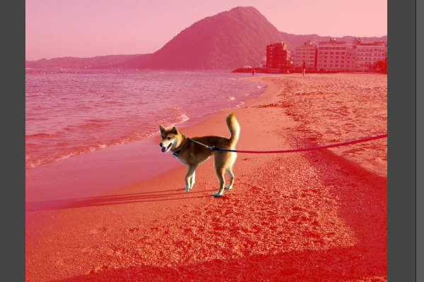 11. 未選択部分を塗る 11. 未選択部分を塗る