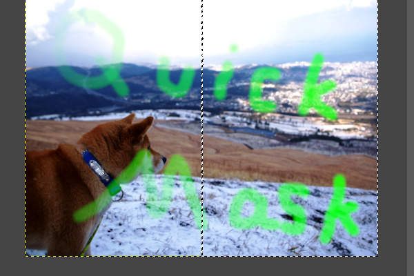 10. 筆塗りの結果 10. 筆塗りの結果